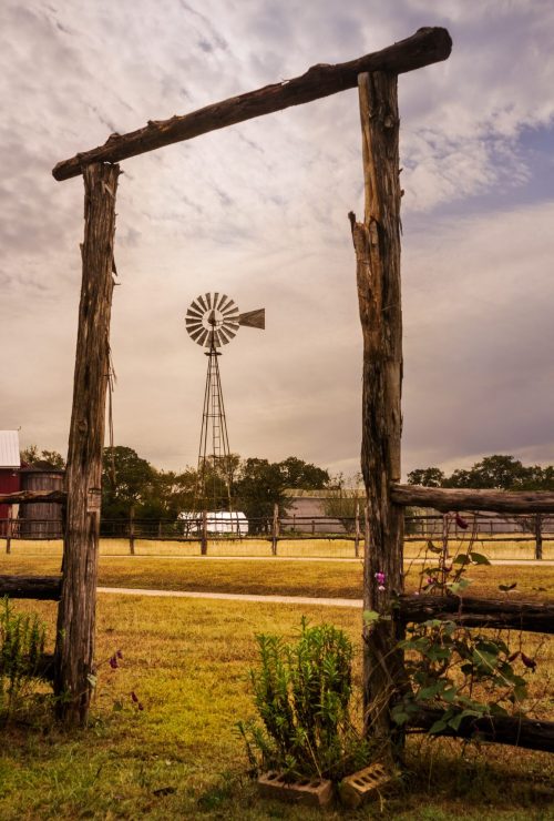 cattle ranch business help