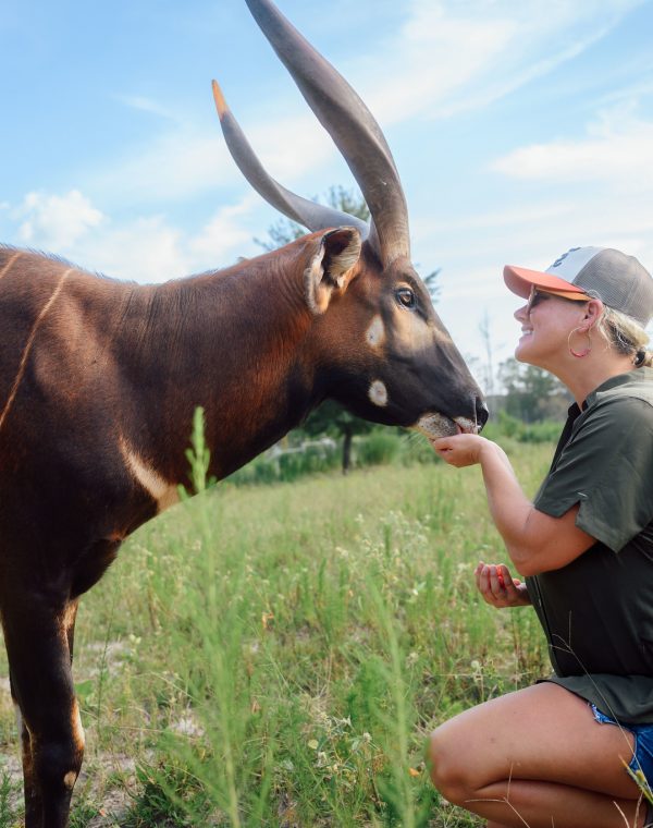 Carly Brasseux Latham